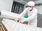 Alagoas é o estado do Nordeste que mais abriu empresas em 2021