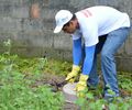 Com mais de 18 mil casos em 2024, Sesau reforça importância de ações preventivas de combate à dengue