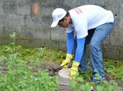 Com mais de 18 mil casos em 2024, Sesau reforça importância de ações preventivas de combate à dengue