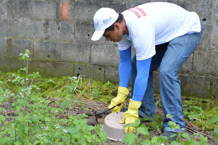 Com mais de 18 mil casos em 2024, Sesau reforça importância de ações preventivas de combate à dengue