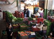 Ministério publica normas de qualidade para frutas e verduras