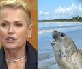 Xuxa cobra justiça pela morte de elefante-marinho, Leôncio, em Alagoas
