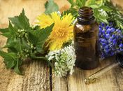 II Congresso Internacional de Produtos Naturais debate Saúde e Ciência em Tempos de Pandemia