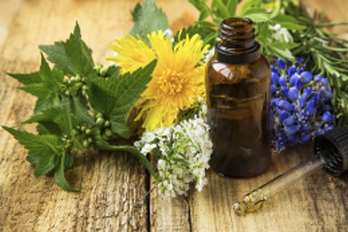 II Congresso Internacional de Produtos Naturais debate Saúde e Ciência em Tempos de Pandemia