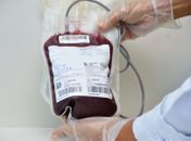 Hemoal leva equipe itinerante a Coruripe para coletar sangue nesta quinta-feira