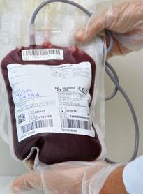 Hemoal leva equipe itinerante a Coruripe para coletar sangue nesta quinta-feira
