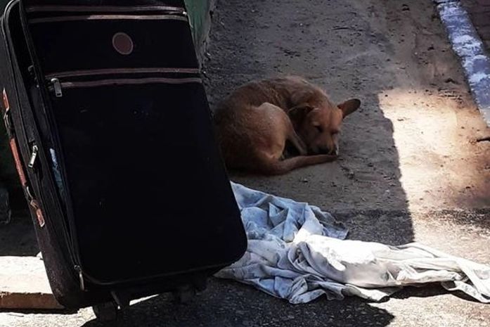 Quitéria tem um companheiro.
Que bom!