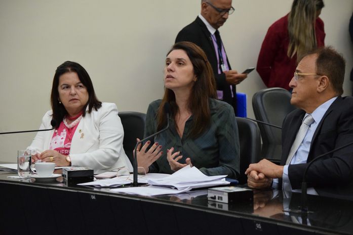 Questões envolvendo transporte escolar são novamente tema de debate em plenário