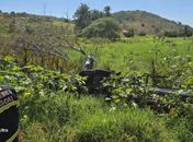 Motorista morre preso às ferragens após caminhão com carga de água capotar em AL