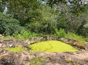 IMA orienta sobre cuidados necessários ao fazer uma trilha ecológica