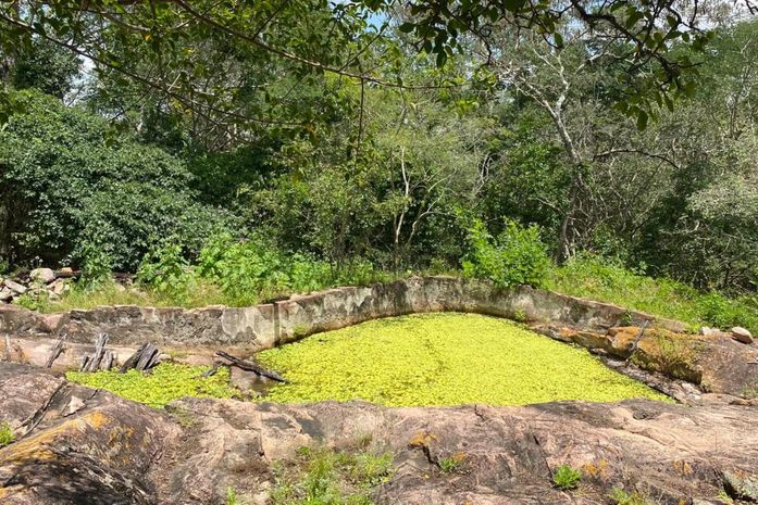 IMA orienta sobre cuidados necessários ao fazer uma trilha ecológica