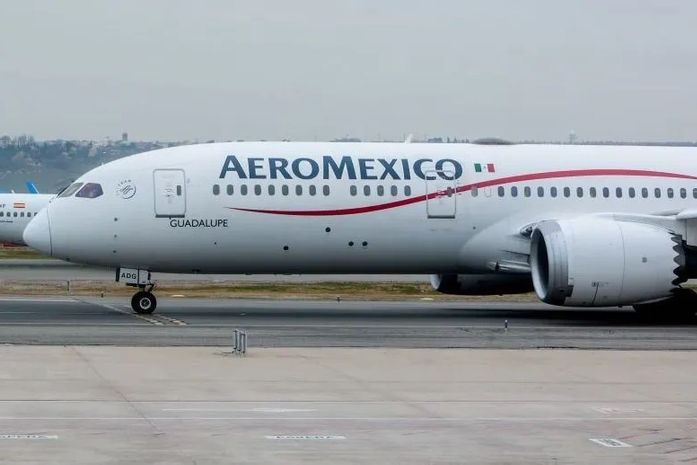 Passageira dá à luz durante voo no México; bebê ganhará voos grátis