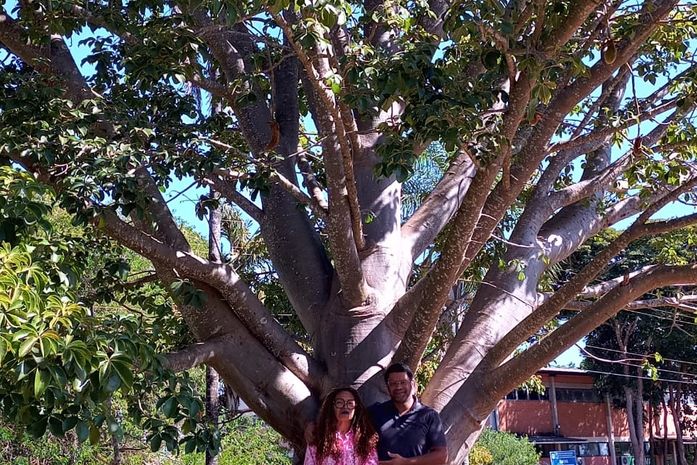 Um tour especializado, do pesquisador, André Bento, pelos caminhos dos Baobás integrou a Semana de Articulação do OEPPIR-AL, em Brasília