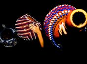 Bloco Rock Maracatu desfilará no próximo domingo (12) na Pajuçara  