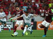 Flamengo é líder e Palmeiras vive crise