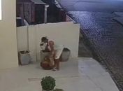 Planta foi furtada por morador de rua 