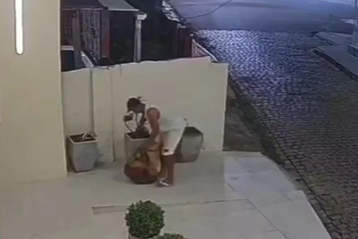 Planta foi furtada por morador de rua