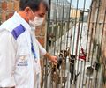 Medicamentos vencidos, cães com sarna e verminose: Visa interdita abrigo de animais em Maceió