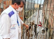 Medicamentos vencidos, cães com sarna e verminose: Visa interdita abrigo de animais em Maceió