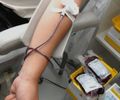 Doação de Sangue