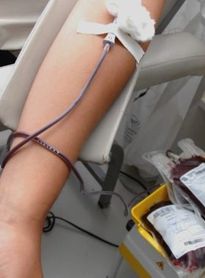 Doação de Sangue