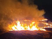 16 incêndios são registrados em Alagoas em um único dia; estado já soma 70 ocorrências em janeiro