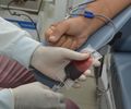 Hemoal promove coletas de sangue em Arapiraca e Coruripe nesta quinta-feira (27)