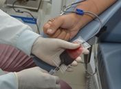 Hemoal promove coletas de sangue em Arapiraca e Coruripe nesta quinta-feira (27)