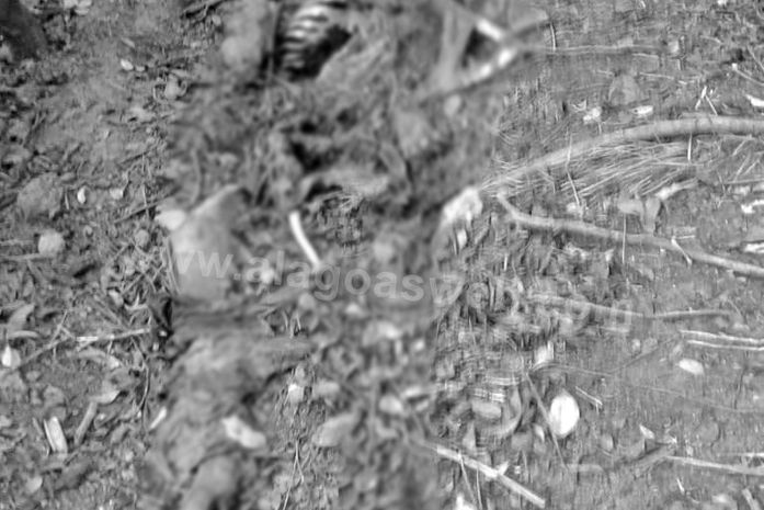 Corpo em estado de decomposição é encontrado em Campo Alegre