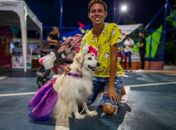 BloCão: tutores levam pets para a folia nas prévias carnavalescas