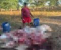 Prefeito de Major Izidoro é acusado de roubar carne após invadir fazenda e matar boi