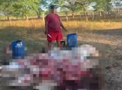 Prefeito de Major Izidoro é acusado de roubar carne após invadir fazenda e matar boi