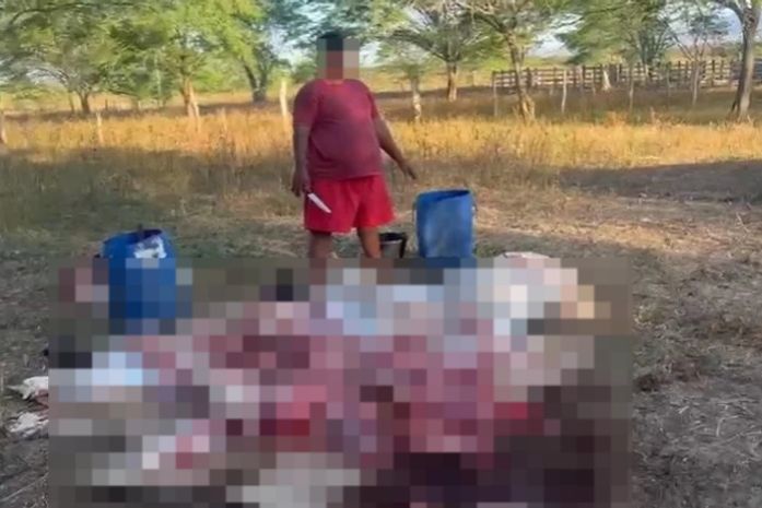Prefeito de Major Izidoro é acusado de roubar carne após invadir fazenda e matar boi