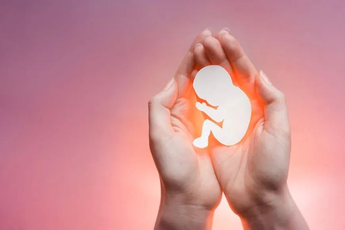 ALE discute projeto que prevê ultrassom com batimentos fetais para gestantes em Alagoas