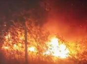 Vídeo: Caminhão-baú cai em ribanceira e pega fogo em Pão de Açúcar, no Sertão de Alagoas
