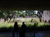 MEC aceita revogar portaria que eleva a carga horária mínima semanal se professores federais encerrarem greve