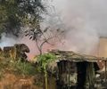 Incêndio de grandes proporções destrói borracharia na BR-316 em Palmeira dos Índios