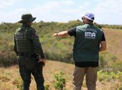 Área desmatada equivalente a mais de 200 campos de futebol é flagrada por fiscalização em AL