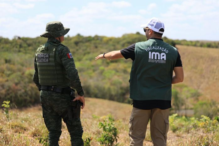 Área desmatada equivalente a mais de 200 campos de futebol é flagrada por fiscalização em AL