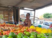 Dia do Empreendedorismo Feminino: mulheres se destacam com histórias de transformação e apoio de projeto social no Vergel