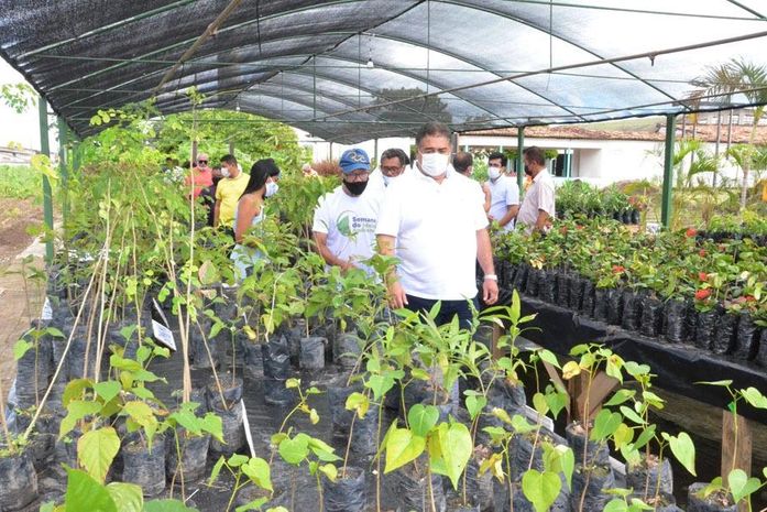 Viveiro de Mudas de São Miguel dos Campos é reinaugurado