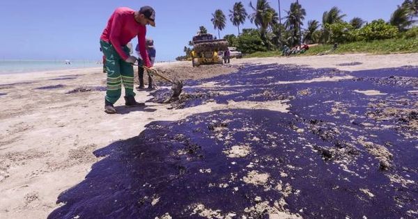 Prefeitura de Maragogi revoga decreto de alerta máximo por causa de - Cada Minuto