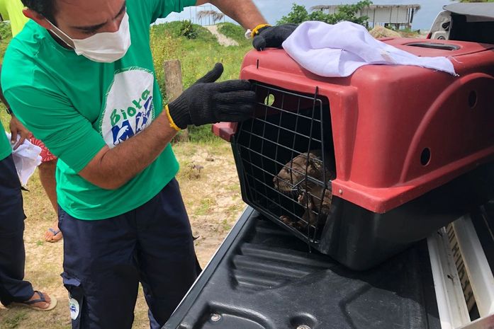Instituto Biota em ação