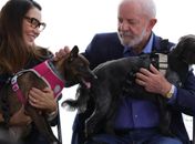 Governo Federal lança programa de identificação e proteção de cães e gatos

