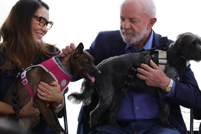 Governo Federal lança programa de identificação e proteção de cães e gatos