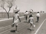 Exposição Terra apresenta fotografias de Sebastião Salgado