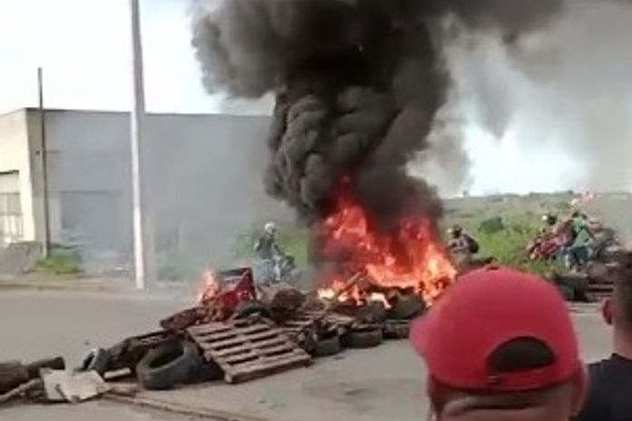 Vídeo: Agricultores bloqueiam Rota do Mar em protesto contra apreensão de suínos em Maceió