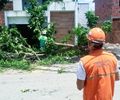Ventos fortes derrubam árvores e danificam quadra em Maceió