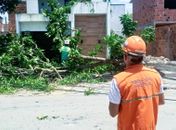 Ventos fortes derrubam árvores e danificam quadra em Maceió