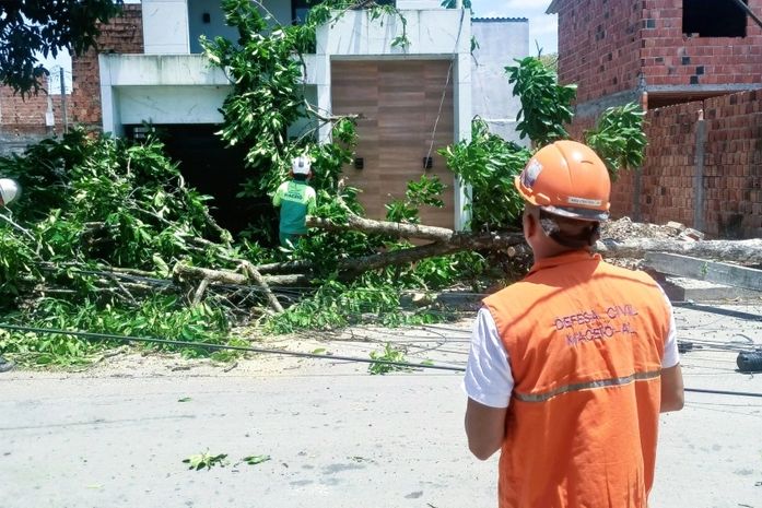 Ventos fortes derrubam árvores e danificam quadra em Maceió